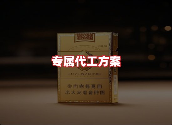 专业团队
